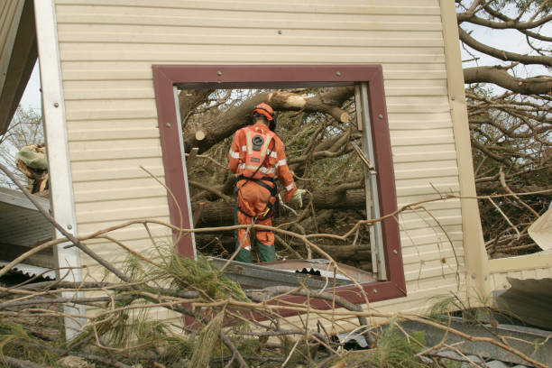 Best Seasonal Cleanup (Spring/Fall)  in Shorewood, MN